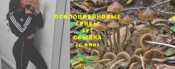 наркотики Абинск