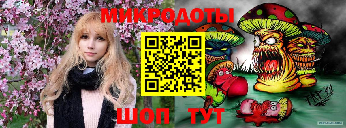 Псилоцибиновые грибы Psilocybine cubensis  Псилоцибиновые грибы MAGIC MUSHROOMS  Липецк  Вход с VPN 